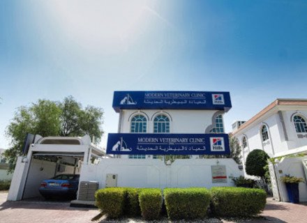Modern Vet Hospital
