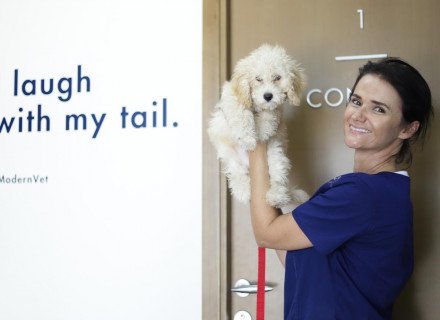 Veterinary doctor with dog in hands