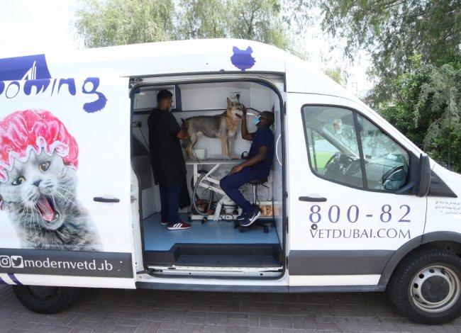 Mobile grooming Modern Vet
