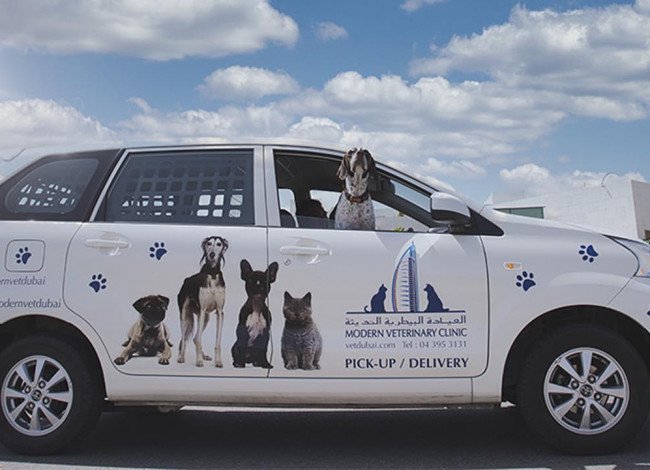 Modern Vet pet taxi