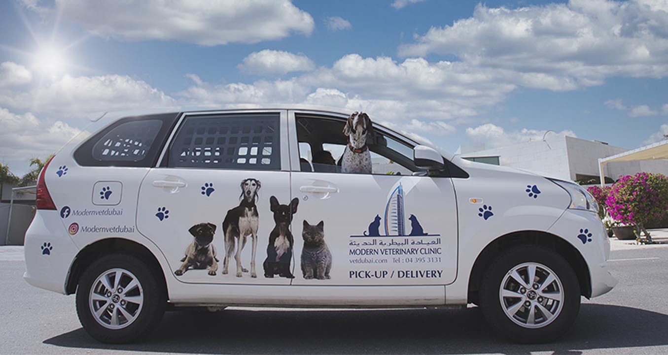 Modern Vet pet taxi