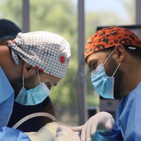 surgery in veterinary clinic