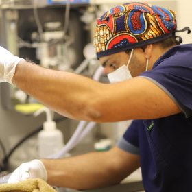 vet doing surgery operation