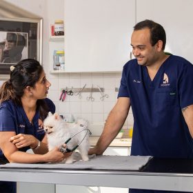 Veterinary doctors and dog