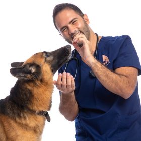 Veterinarian and dog