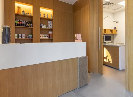 Modern Vet Downtown reception room and exam cabinet