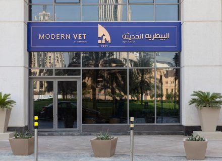 Entrance Modern Vet Downtown