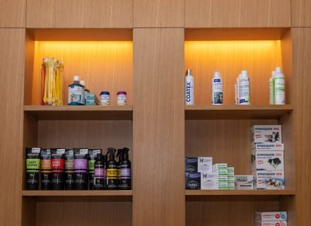 Rack with goods for pet