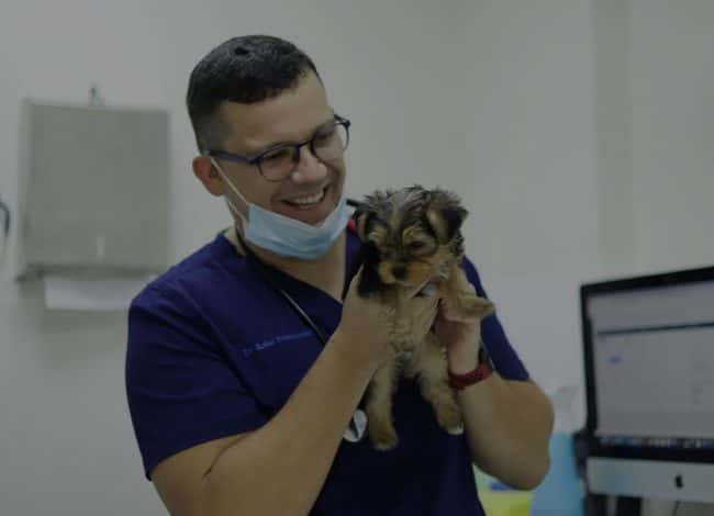Veterinarian with puppy
