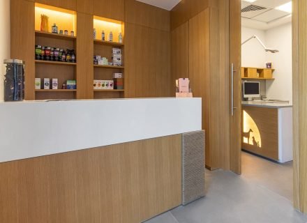 Reception and exam cabinet in Modern Vet