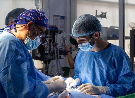 Vet doctor doing surgery