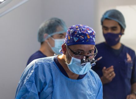 Veterinary doctor surgery operation