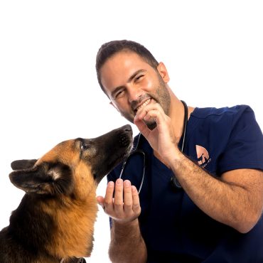 Vet with dog
