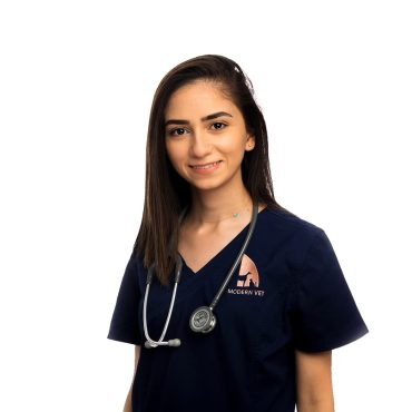 Veterinary specialist