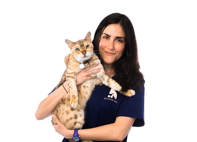 Veterinary doctor with cat