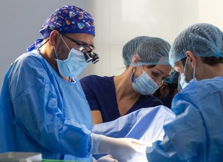 Kitty surgical operation