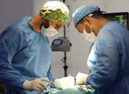 PDA Veterinary Surgery