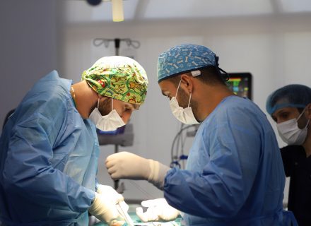 PDA Veterinary Surgery