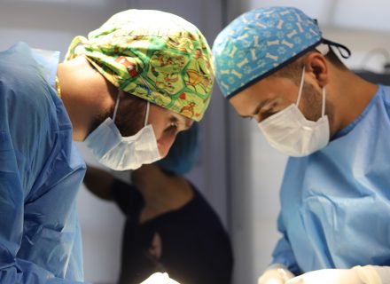 PDA Veterinary Surgery