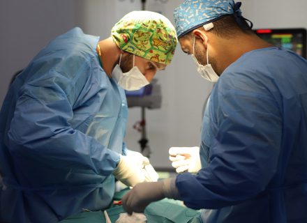 PDA Veterinary Surgery