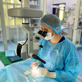 veterinar doing work