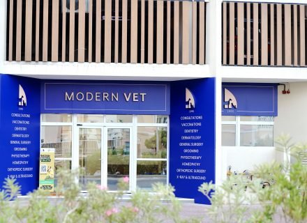 Modern Vet clinic front