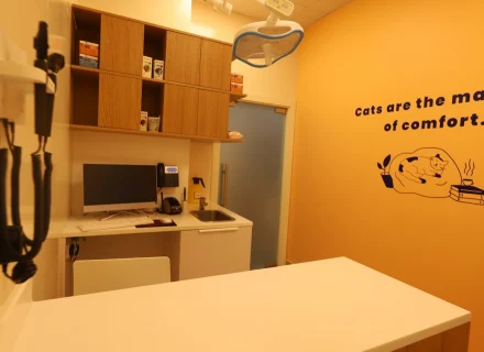 Vet exam room cabinet