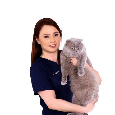 Veterinarian with cat