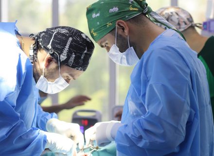 surgery vet operation