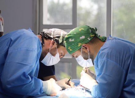surgical veterinary operation