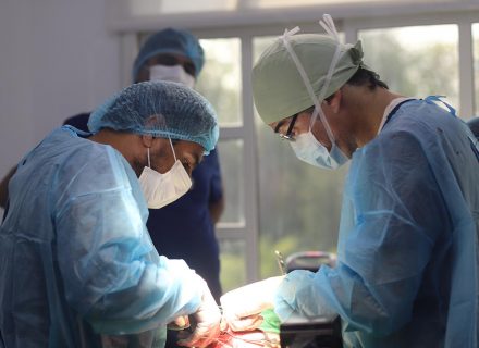 surgery operation in vet clinic