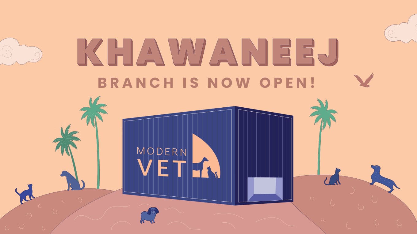 Modern Vet Khawaneej opening logo