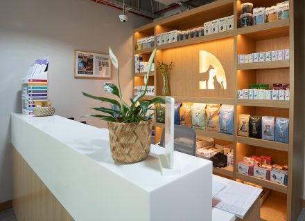 Reception in vet clinic